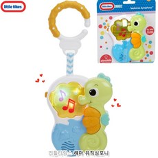 뮤지컬네이처포레스트