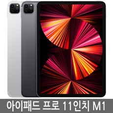 아이패드 프로 3세대(5세대) 11인치 M1 128GB 256GB 기가 WiFi/LTE 셀룰러 정품