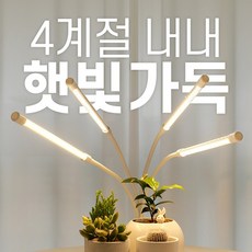 019d6a40dd9539e156187e3fcc103ad643a630d5c8bfb2f69293ef3b3da6.jpg