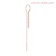 골든듀트윙클귀고리