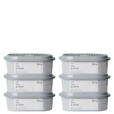 온다숲 반영구 천연 제습제 정화석, 300g, 6개