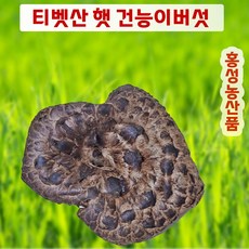 자연산 건 능이버섯 건조능이 말린능이 햇능이, 1개, 건능이 버섯 특A급 100g(티벳산)