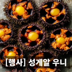 청담농수산 프리미엄 국내산 포항 말똥성게알 우니, 1개, 300g