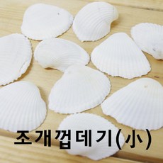 조개껍데기교구