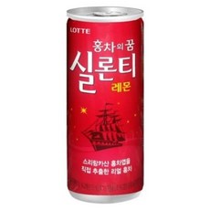 실론티 240mlx30캔x2박스, 240ml, 60개