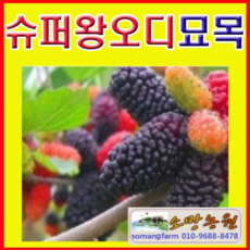 56ef116171f390669c6c9af132b83d4248d9610cda949f5736250a3ef28b.png