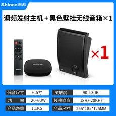 블루투스스피커 Z15무선블루투스 가정용 벽걸이 스피커 벽에거는식 중저음 천장 배경 음악, C01-공식모델, T06-구역분리 주파수조절 발사장치+1개 무선 벽걸이 스피커
