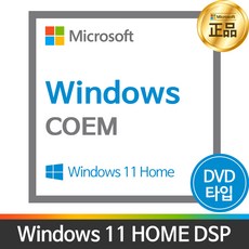 윈도우 11 홈 64bit DSP 한글 설치 제품키, windows 11 home dsp