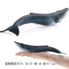 대왕고래장난감