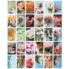 튤립사운드북시기