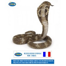 킹코브라