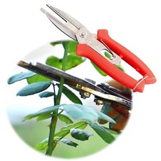 마늘쫑자르는가위 마늘쫑 가위 절단기 제거기 조경용나무다듬기