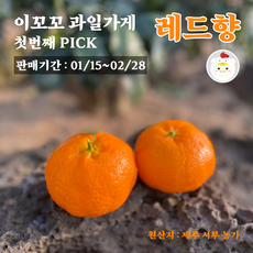 제주 서귀포 16-18Brix 고당도 못난이 레드향(중소과 가정용) 3kg 5kg 실중량, 1박스, 못난이 레드향 5kg(실중량,중소과 35개 이내)