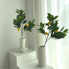 데코윈
