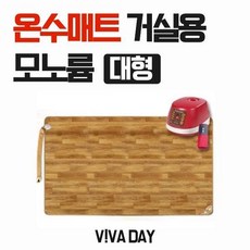 스팀보이초슬림온수매트퀸