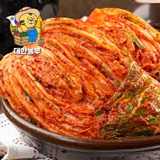 대한농부 전라도식 김장 포기김치 프리미엄 5kg/10kg, 1개, 10kg