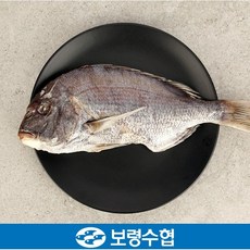 도미반건조