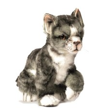 BH6493HANSA 고양이 아이 그레이 20, 1개