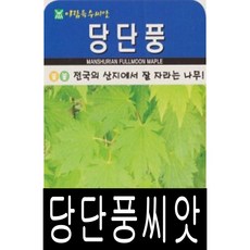 배롱나무씨앗