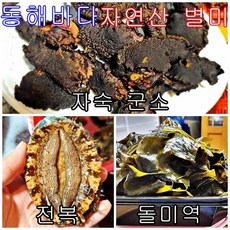 [자연산 별미] 겨울 동해바다 전복 군소 돌미역, 돌미역1kg, 1개