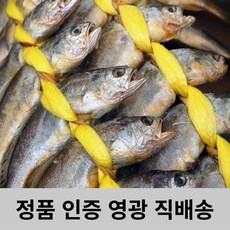 최군푸드