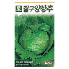 으뜸 열무 씨앗 20g - 열무씨앗 열무씨 야채씨앗 채소씨앗 채소재배 종묘 종자 베란다 텃밭 씨 씨앗, 03_다농_결구 양상추(2000립)