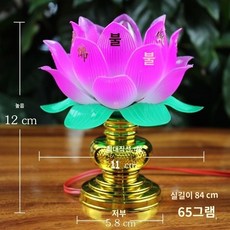 연꽃등 TOP01