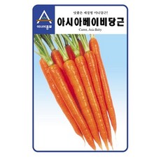 베이비당근 씨앗 당근 씨 종자, 3개