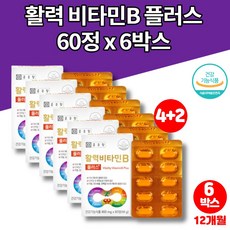 영롱판토쉴드비타민b