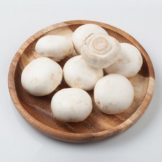 초록단비 양송이버섯, 1개, 2kg (특품)