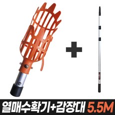 과일따기체험