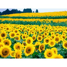 플란체대형diy그림그리기