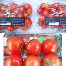 스테비아 토마토/방울토마토 달콤한 토망고 샤인토마토 1kg/2kg, 스테비아 토망고 1팩/1kg
