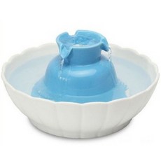 nathome전기포트ndg01최신형