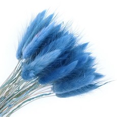 버니테일메르시가디건