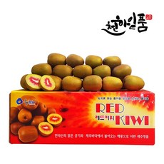 천하일품 고당도 제주 레드키위, 1박스, 09.제주 레드키위 5kg 상품 중대과(65-72과 내외)