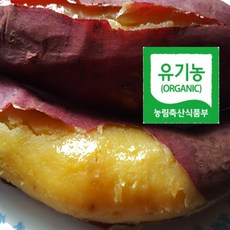 2022년햇밤고구마