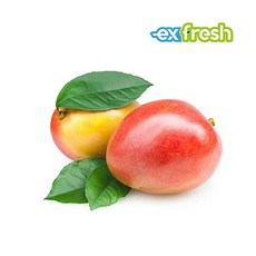[익스프레쉬] 페루 애플망고 대과 10개입 4kg 내외, 상세 설명 참조, 상세 설명 참조