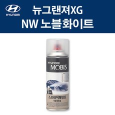 nw1xm910