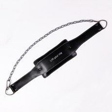 허리보호대 몬스터 제작 턱걸이 짐끌기 허리띠 가중 디스크 등트레이닝 헬스 다이어트 더블바 팔, C01-블랙색(포함스틸 사슬)