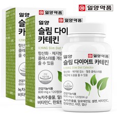 (2박스) 일양 슬림 다이어트 카테킨 4개월분, 단품, 단품