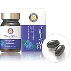나리스 블루베리 업 27g(450ml×60립), 1개