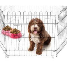 일산대형견애견호텔