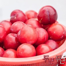 여름 제철 고당도 산지직송 햇 자두 ., 1개