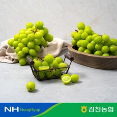 김천앤