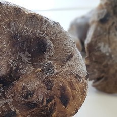 자연산 능이버섯 냉동 (특품) 대덕종합무역, 냉동 A급, 1kg, 1개