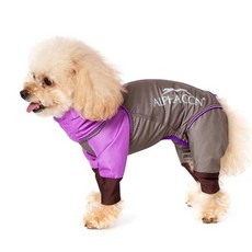 알파아이콘레인독가드