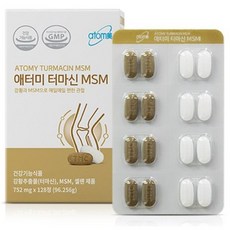 애터미msm