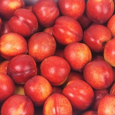 햇 천도 복숭아 (오월화 신선) 2kg/25-35과/2박스 구매 1kg 추가 증정, 상세페이지 참조