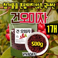 건오미자500g